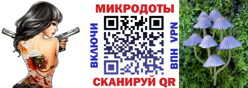 где купить наркотик  Дзержинский  Псилоцибиновые грибы GOLDEN TEACHER 