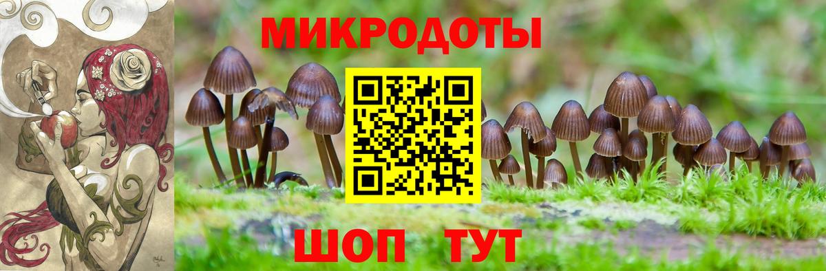 Галлюциногенные грибы ЛСД  Галлюциногенные грибы прущие грибы  Дзержинский  Вход с VPN 